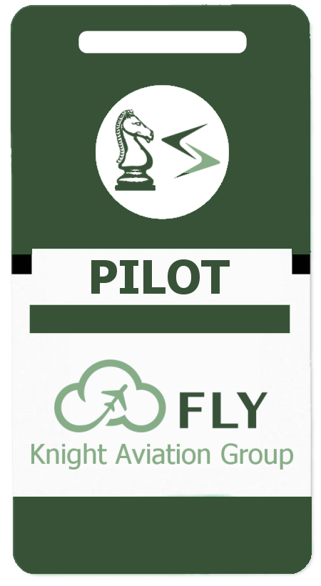 Pilots